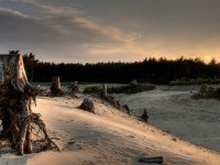 het laatste licht : bomen, landschappen, set36, zonsondergang